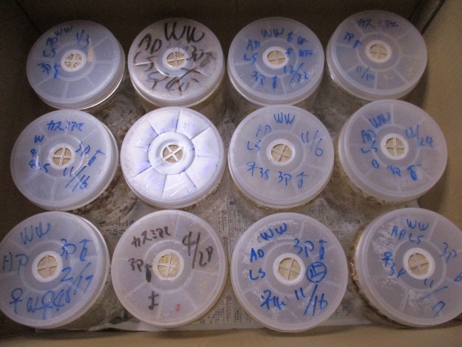 ＰＥＴ１４００ｃｃプラボトル（使用済）２４本セット