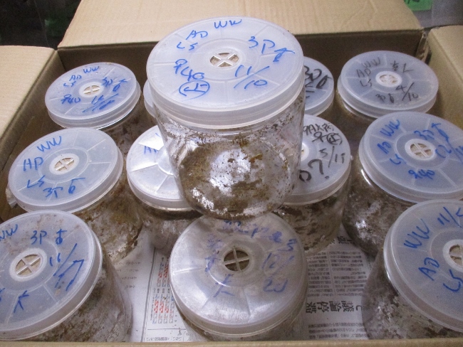 ＰＥＴ１４００ｃｃプラボトル（使用済）２４本セット